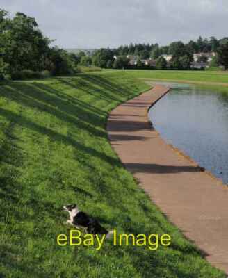 Foto 6x4 Bank über Hochwasserhilfekanal Exeter Ein Hund reagiert auf seine o c2008