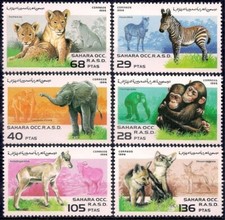 Sahara 1996 Animaux Singe Zèbre Éléphant Sauvage Chats Panthère