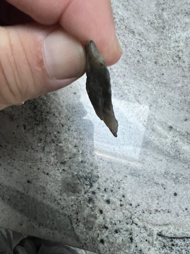 Authentic Native American Indian Arrowheads, Artifacts An Gift Box - Picture 7 of 7