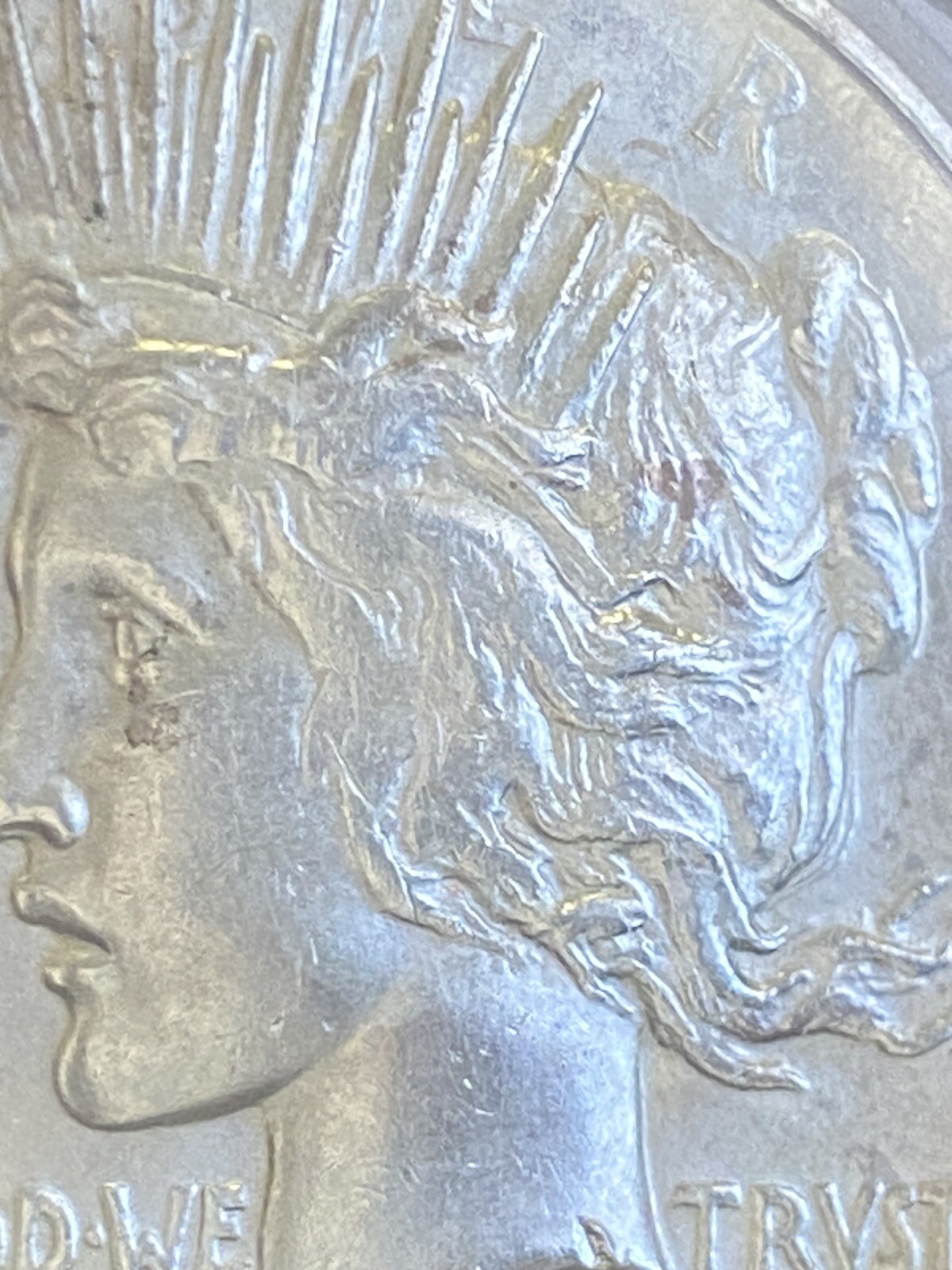 Picture 4 of 14