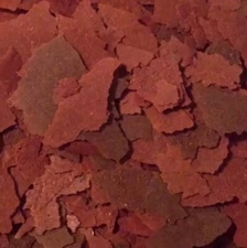 Tropical Color Flake - Loaded with Shrimp & Astaxanthin - Bring Out Those Reds!