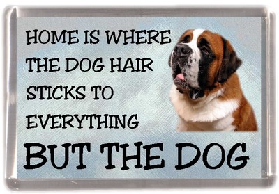 Bernhardiner Hund Kühlschrankmagnet ''Home is Where'' Design von Starprint