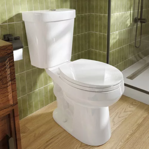 17.5'' Tall Two-Piece Toilet Round W/ADA Seat 1.1/1.6 GPF Dual Flush S-Trap