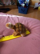 Adorable Old Steiff Turtle original label and metal button
