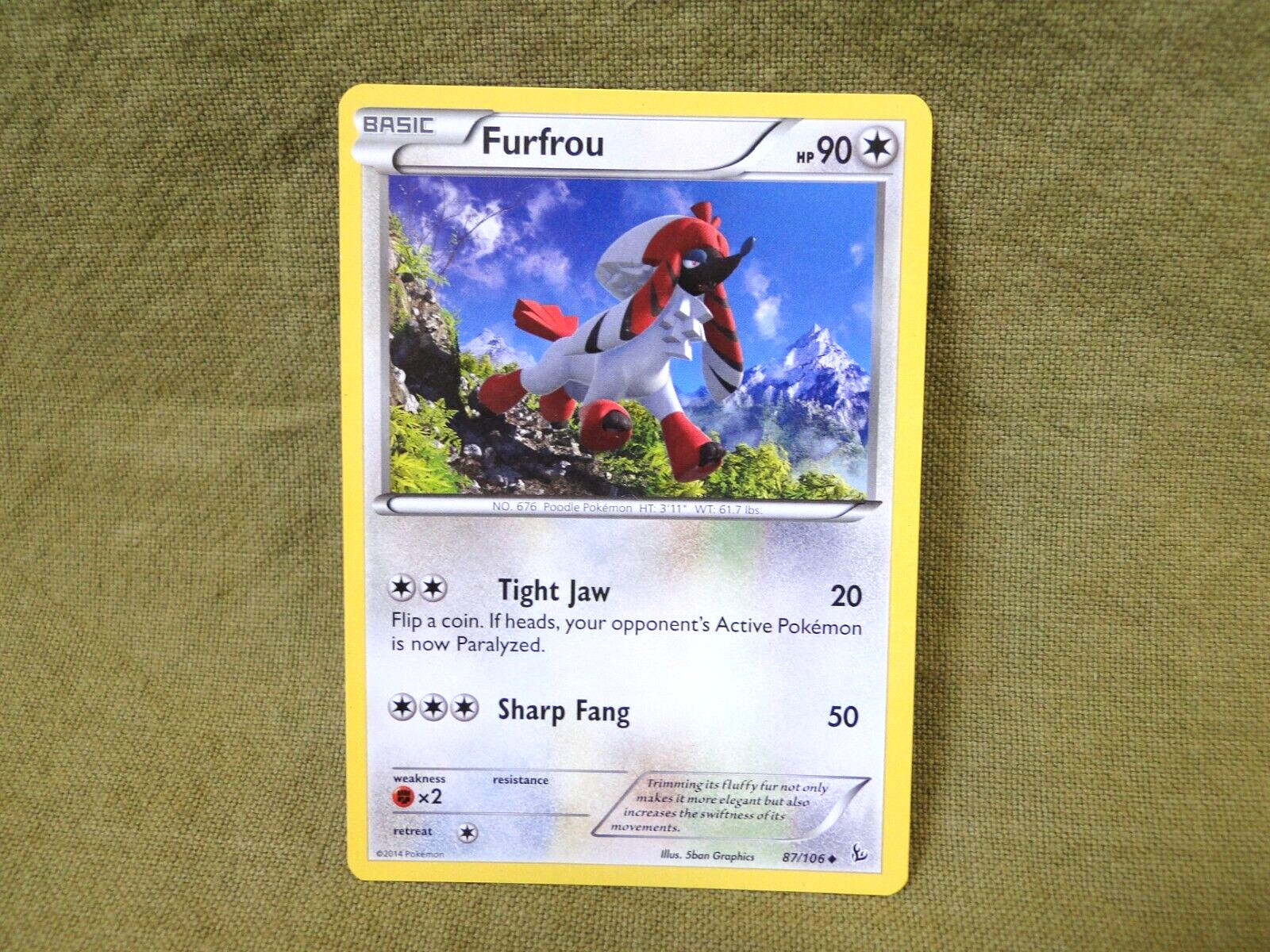 Pokemon Trading Card - Flashfire: Furfrou 87/106