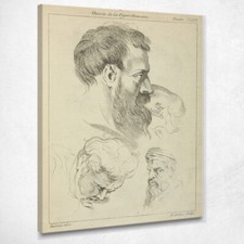 Tre Studi Di Teste Maschili Peter Paul Rubens, ppr301 quadro stampato su tela