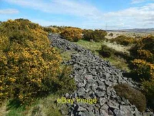 Photo 6x4 Spoil mounds at old cornstone workings Ardoch Click on the firs c2015