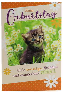 B+C Karte Katzenbaby Bild Geburtstag Glückwunschkarte Grußkarte Geburtstagskarte