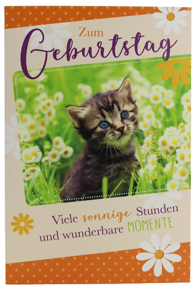 B+C Karte Katzenbaby Bild Geburtstag GlüCkwunschkarte GrußKarte Geburtstagskarte-image