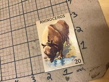 circa 1940's Original Vintage Paper on board Animal card 2x3 -- RHINOCEROS