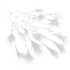 Bild 6 von 12