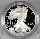 2004 W Proof American Silver Eagle !!