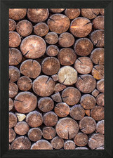 Wooden cut tree trunk Framed Wall Art Poster Canvas Print Picture