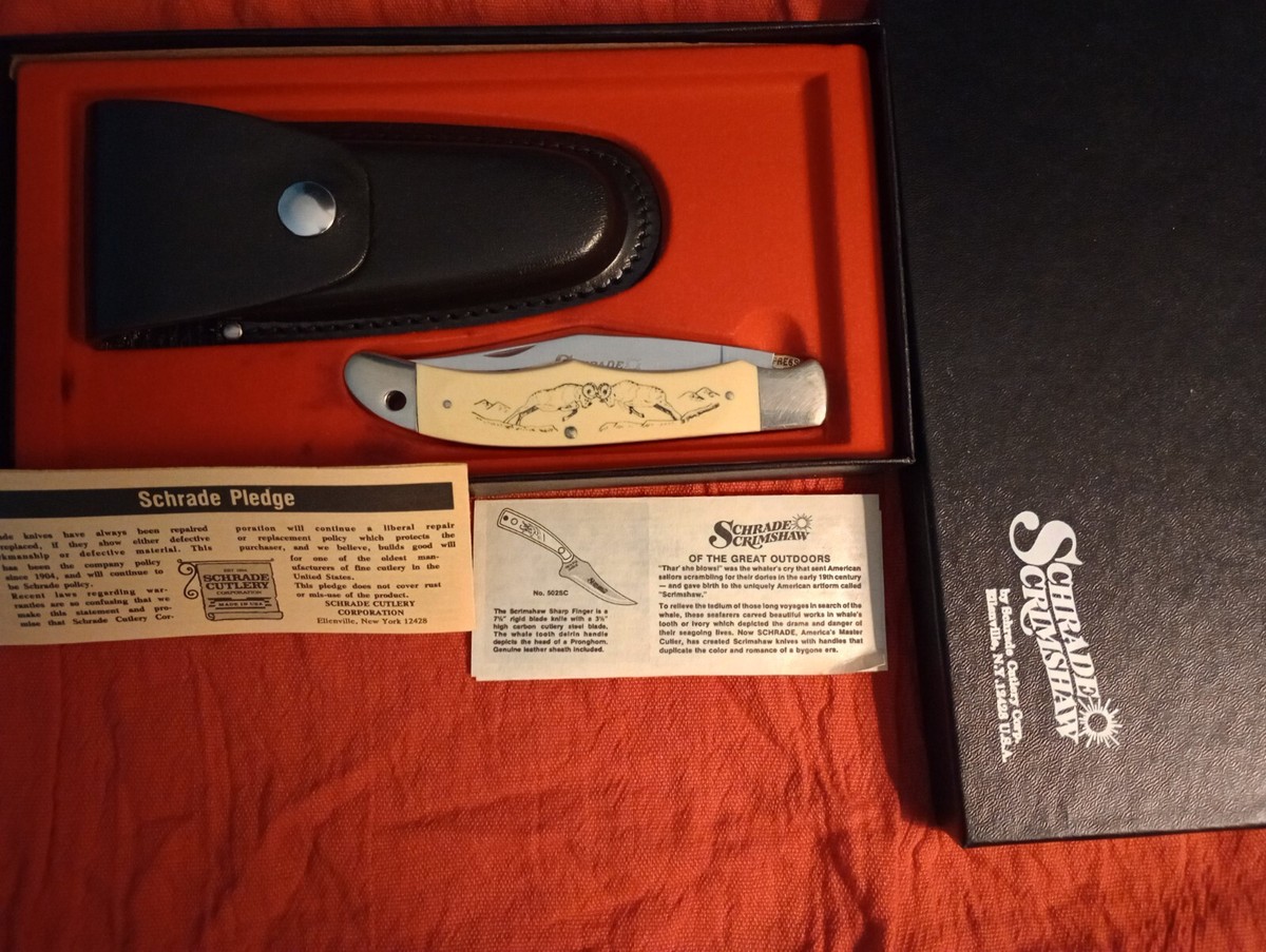Schrade Scrimshaw SC 500 Bighorn Sheep | eBay