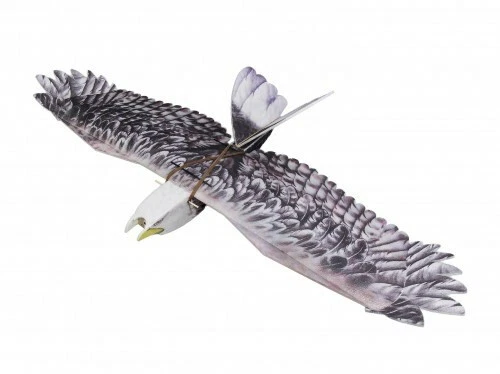 Adler 1430mm, PNP, Upgrade! - Bild 2 von 2