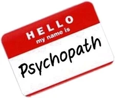 Domain Name URL Website Psycho The Psychopath www.thepsychopath.com 