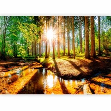 LANDSCHAFT WALD BÄUME Fototapete Vlies Tapete xxl Wandtapete Wandmotiv Wanddekor