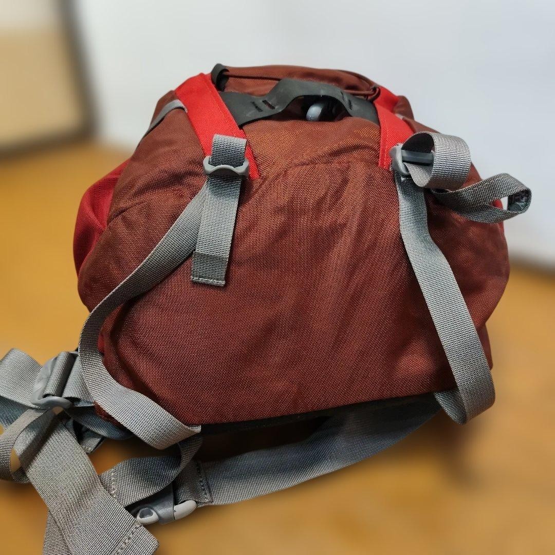 GREGORY RED BACKPACK Japan - image 5