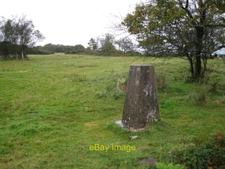 Photo 6x4 Trig point on Lambert's Castle Hill Fishpond Bottom Looking jus c2012