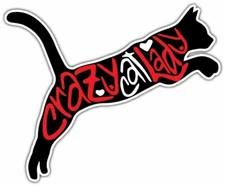 Crazy Cat Lady Pet Love Car Bumper Vinyl Sticker Decal 5"X4"