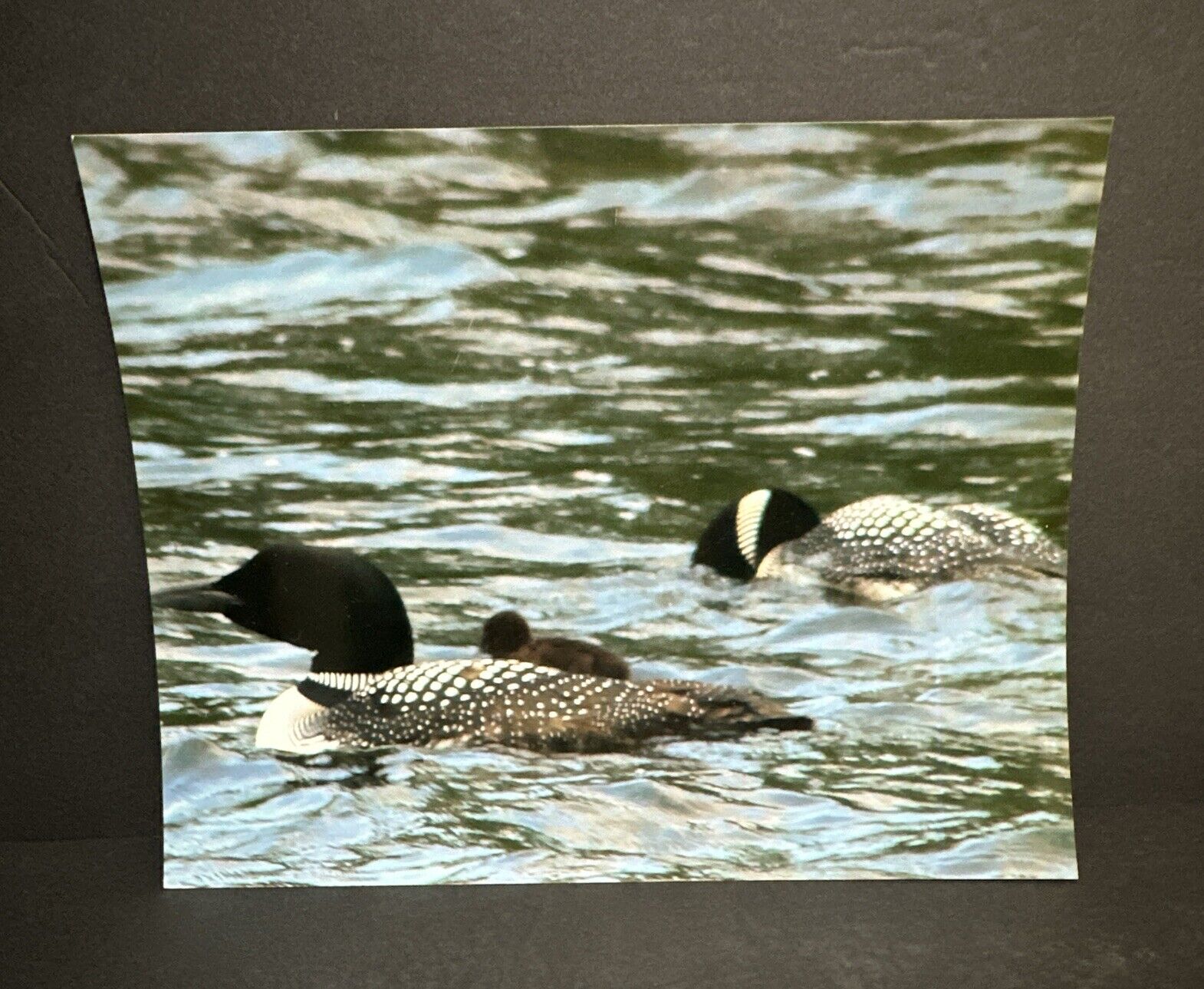 Picture 9 of 22