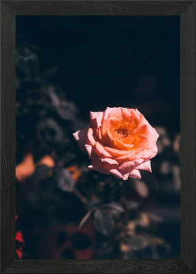 Leere Liebe gerahmtes Wandbild Poster Leinwanddruck Bild