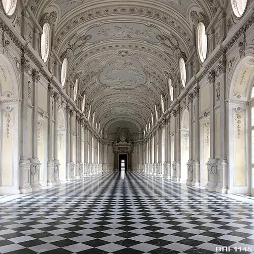 Fondo de tela de microfibra para pasillo del Gran Palacio Huayi BHF1145 Foto 2 de 4