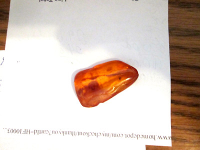 LARGE AMBER STONE WITH A SMALL BUG IN IT