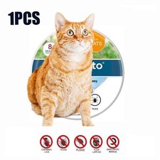 The adjustable collar for pets is suitable for large pet cats US SHIPPING