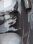 Bild 2 von 8