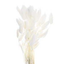 60 St&uuml;ck Nat&uuml;rliche Kaninchenhasen Schw&auml;nze Getrocknete Blumen 16", Wei&szlig;