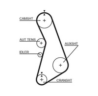 Zahnriemen FÜR Audi A4 B5 (8D2), Audi A4 B5 Avant (8D5) - Gates 5425XS