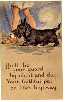 Scottish Terrier  refrigerator magnet 3 1/2 x 4 1,2'' Made in the Usa