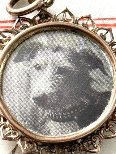 Antique Rose Gold Dipped Decorative Pendant 1” Sweet Dog Photo Mourning Jewelry - Picture 10 of 24