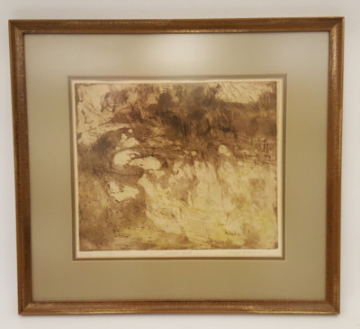 David F Bushman abstract print 2/28 framed signed 6/27/65 listed artist 1945-08
