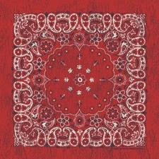 Carolina Creative Bandanna (Red/Indigo) Rustic Paisley 27" x 27"