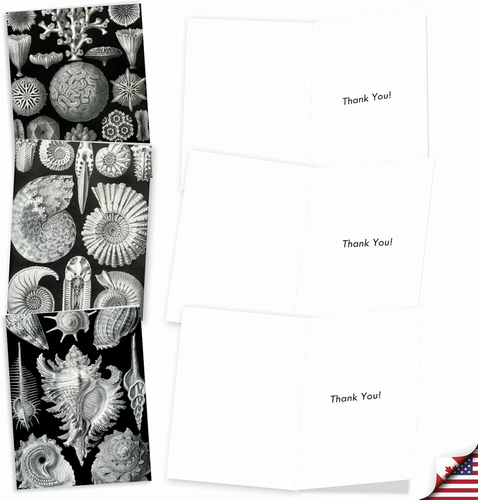 The Best Card 10 Assorted Thank You Note Cards Bulk Box Set 4 X 5.12 Inch with - Picture 2 of 7