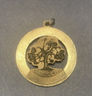 20th C. Chico Dog Fanciers Association, California  medal/token — photo 3