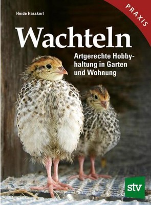 Wachteln Heide Hasskerl
