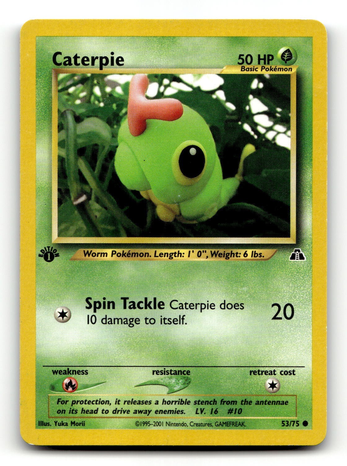 Yuka Morii Pokemon Cards! Rare Reverse Holo/Non Holo - Choose Your Card!