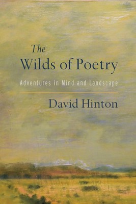 The Wilds of Poetry: Adventures in Mind and Landscape | David Hinton | Englisch