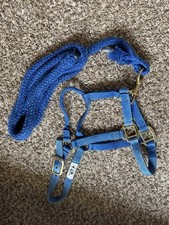 Nylon Horse Halter and Lead Rope Horse Size Blue