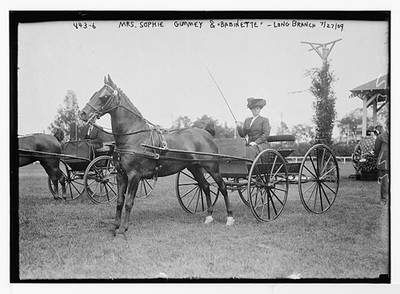 Mrs. Sophie Gummey in horse-drawn hack drawn by ''Babinette'' Long ... Photo