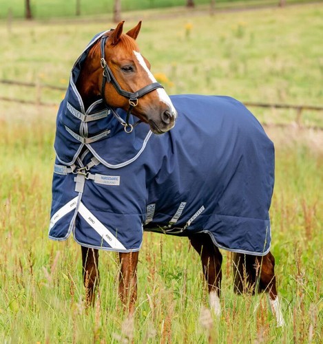 Horseware Amigo Bravo 12 Plus Turnout Rug 1200d + Hood Mediumweight 250g 3'9-7'3 - Picture 17 of 18