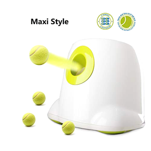 bones for puppies 12 weeks