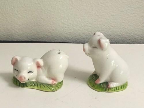 Simpatico shaker sale e pepe per maiali di campagna con tappi - Foto 2 di 5