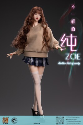 I8-H005 5体セット　1/6フィメールHeadゾーイ　ABCDE i8TOYS】i8-H005 A B C D E ZOE 失学園 純 眼球可動 1/6スケール