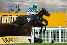 Davy Russell Hand Signed 12x8 Photo Horse Racing Autograph Chosen Mate