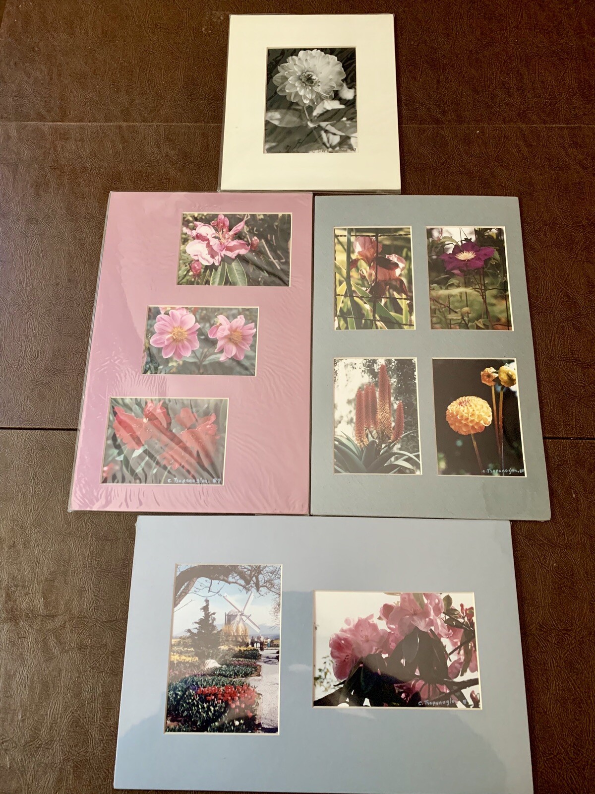 Picture 1 of 12