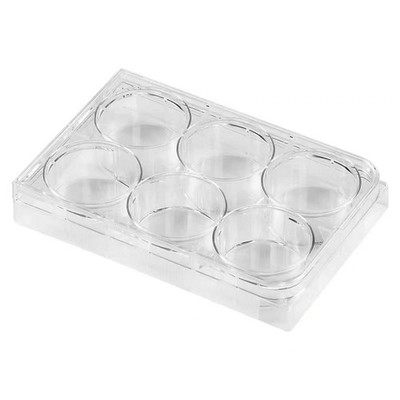 6 Well Culture Plate - Culture Plate 6 Well - with Lid Flat Bottom ...